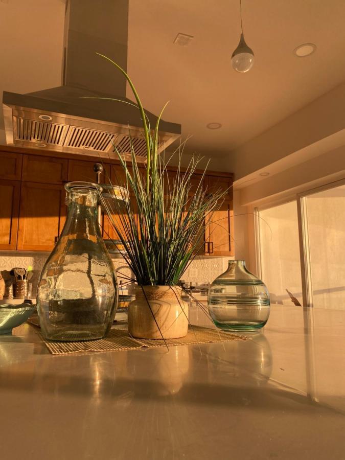 Beachfront 4 Bedroom Penthouse - Pool Steps To Beach & Mins To Downtown Rosarito Dış mekan fotoğraf